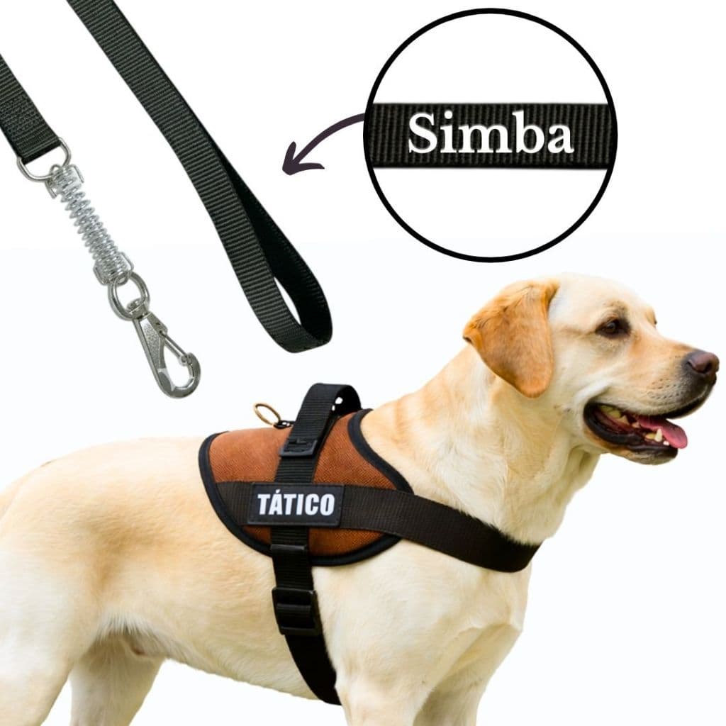 Coleira Peitoral Tático Para Cães Grandes Com Guia Personalizada Com Nome Ajustável Guia Passeio
