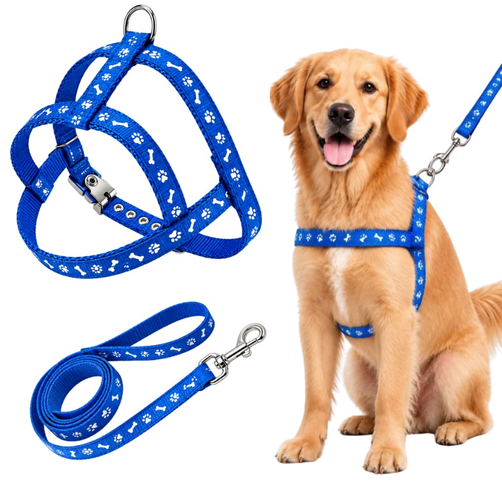 Coleira Com Guia Cachorro Médio e Grande Porte Reforçada Ajustável Confortável Dia a Dia Nylon