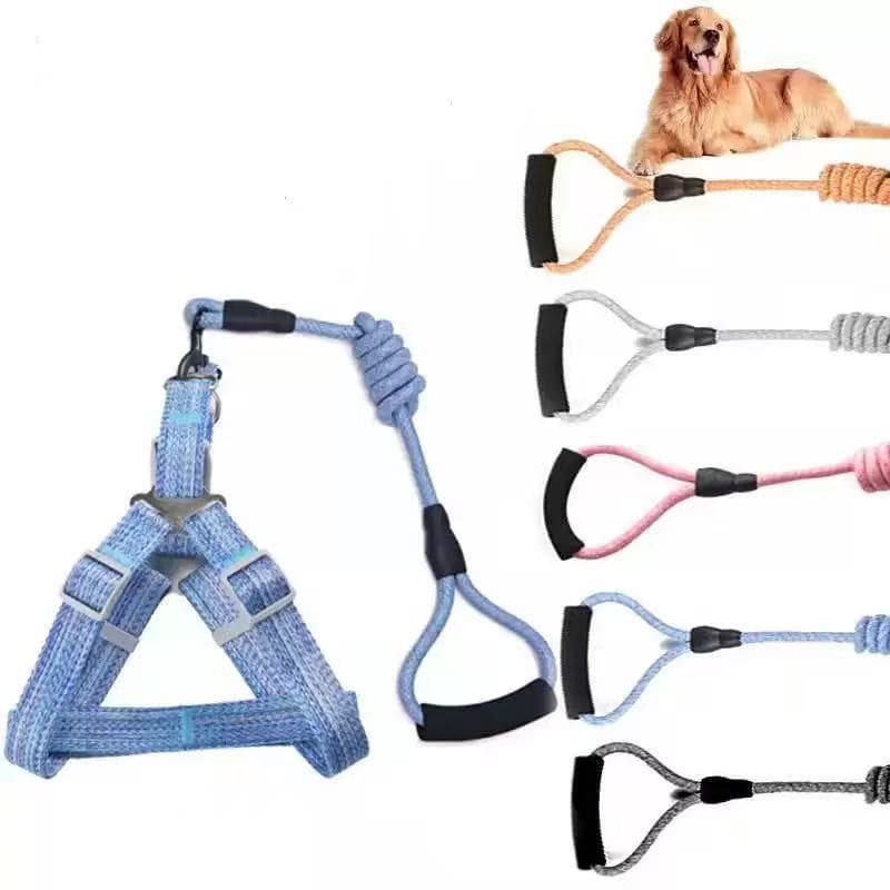 Coleira e Guia com Amortecedor e Pegador Peitoral Ajustável Para Pets Cachorro e Gato