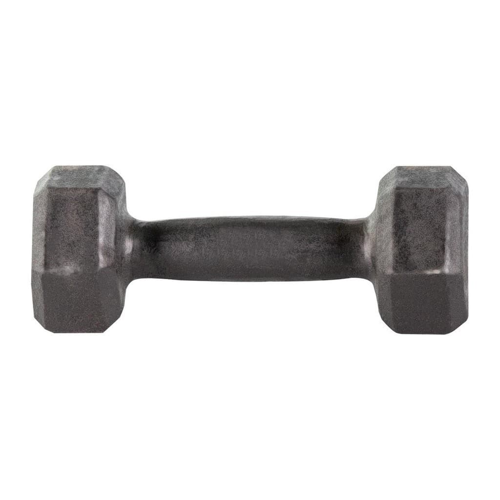 Halter Sextavado Pintado Peso de Academia em Ferro Fundido 14kg