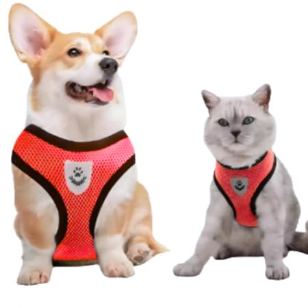 Coleira Peitoral com Guia para Pets Conforto e Segurança Lcw-bw43