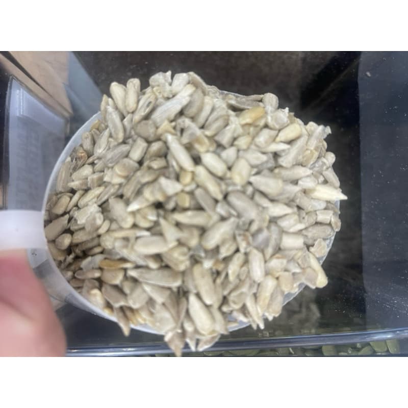 Semente de Girassol 100g | 100% Natural Rica em Fibras e Nutrientes | Alimentação Saudável Premium