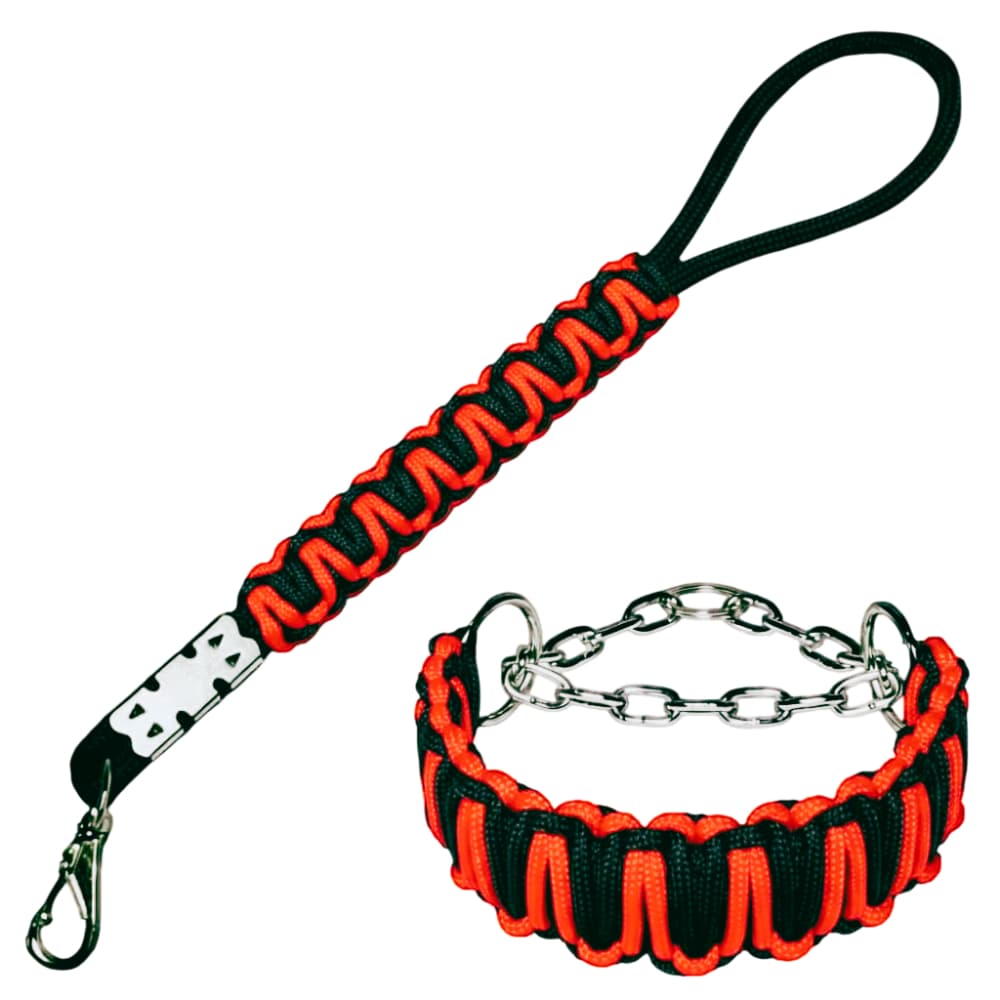 Coleira e Guia para Cachorro grande. Enforcador com corrente. Resistente para Pitbull Pit Monster American Bully