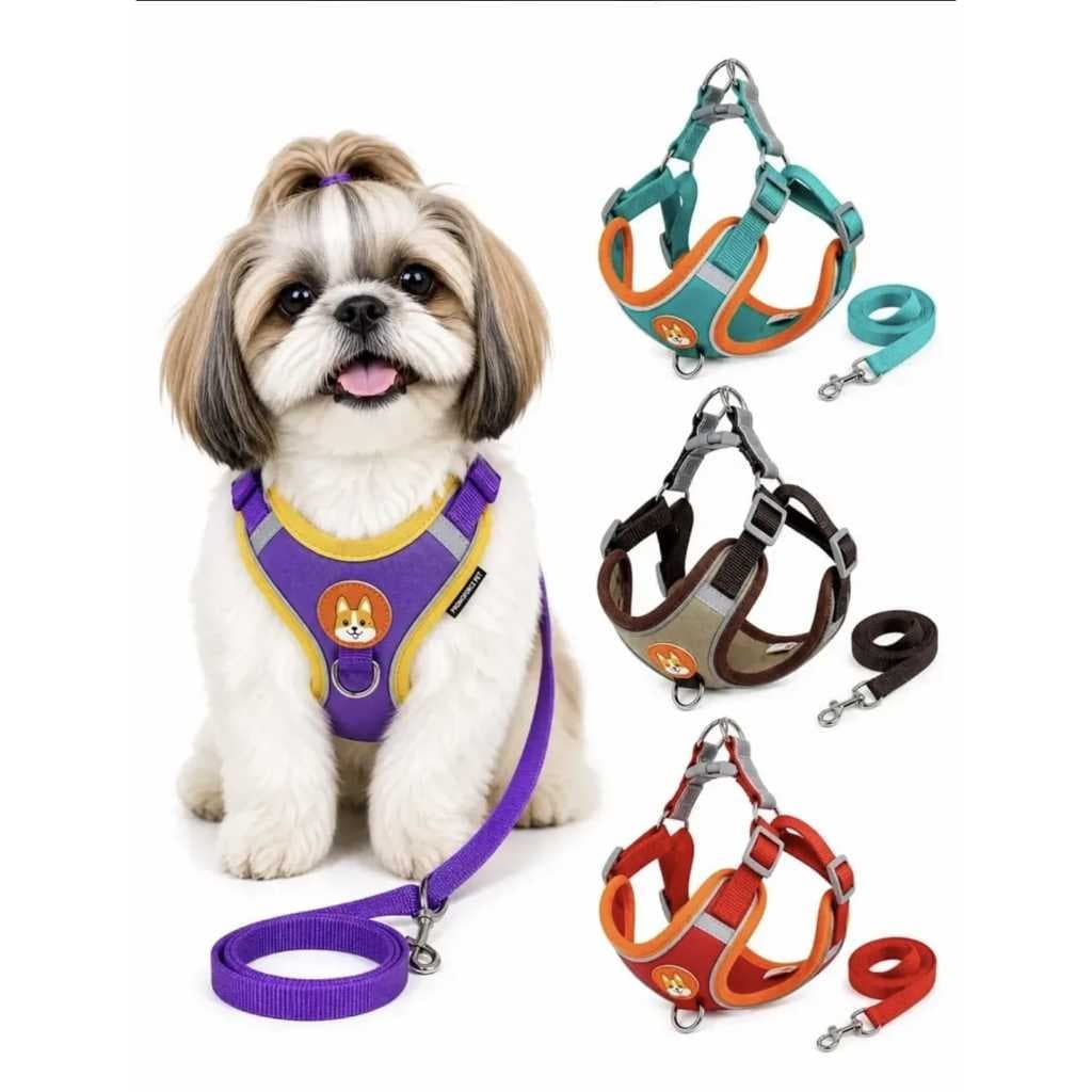 Coleira Peitoral para cachorro + guia, kit completo. Ajustável, confortável e segura.