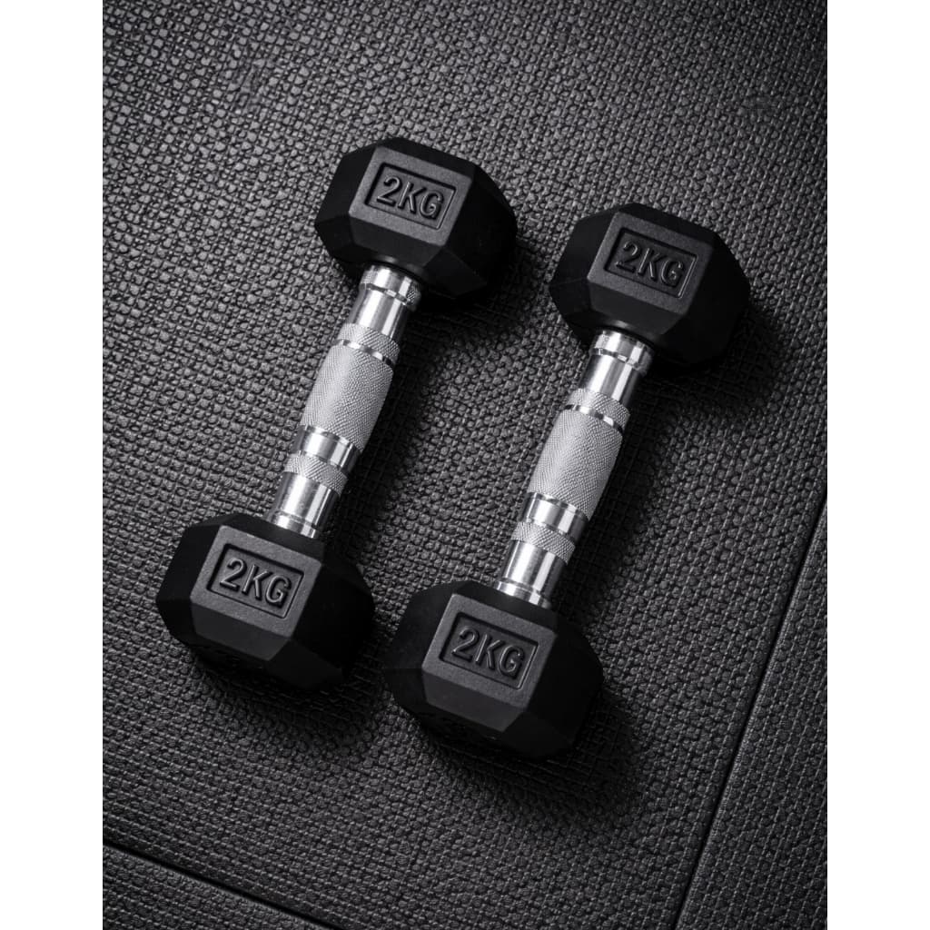 Kit 2 Halteres Halter Sextavado 2kg Academia Segurança Estabilidade Profissional Pegada Antiderrapante Inox Borracha
