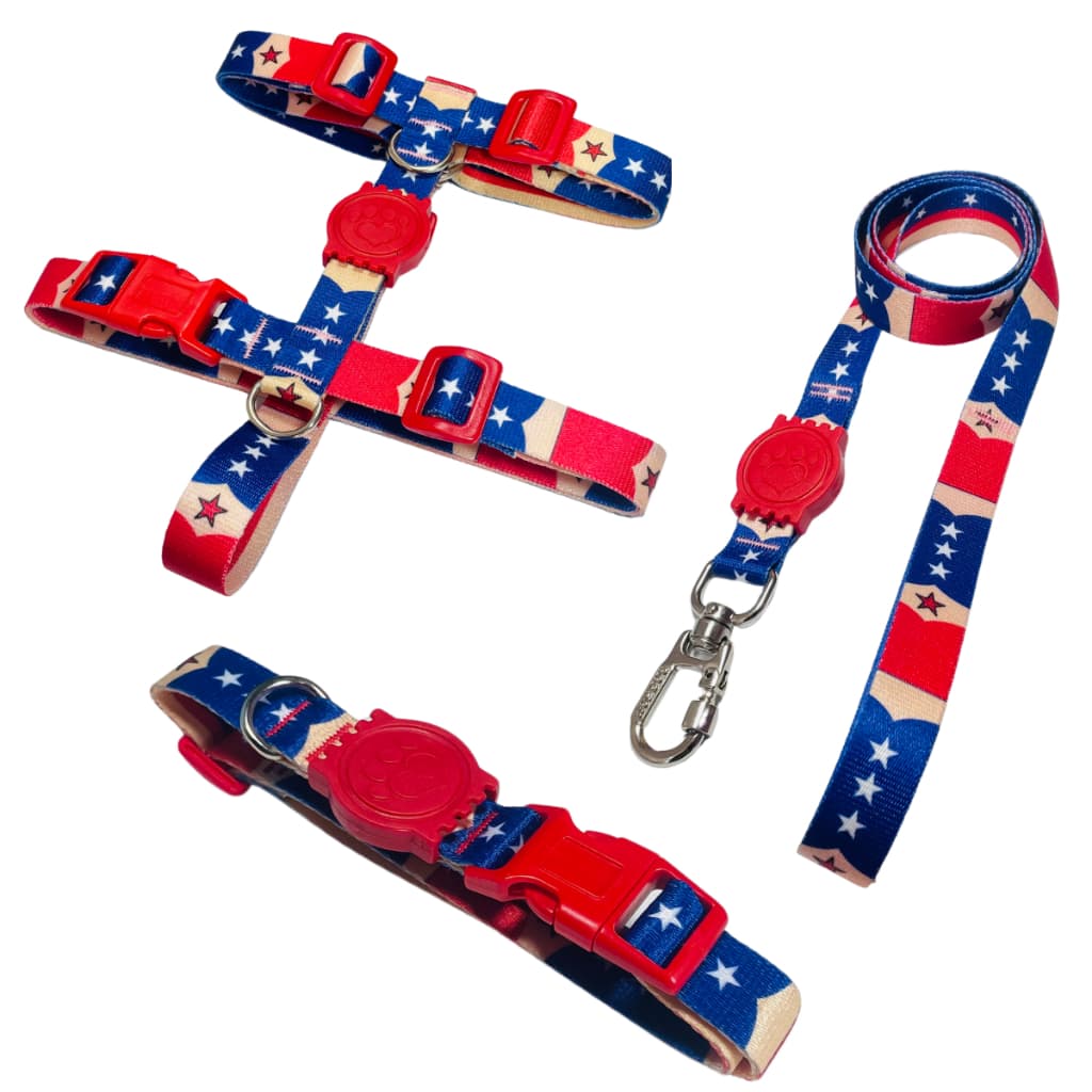 Kit Passeio Peitoral H Guia e Coleira Para Cachorros Cães Pets MM