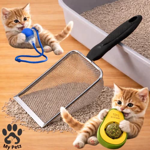 Pá de Areia Coletora e Brinquedo Opcional Pet Gato, Cachorro em Aço Inox, Caixa de Areia Higiênica