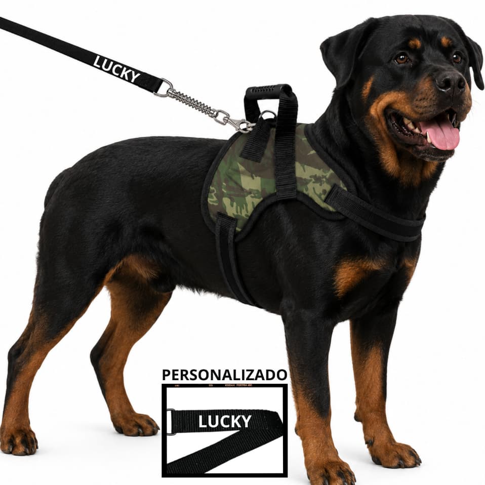 coleira peitoral para cachorro reforçada com guia nome na guia pequeno médio e grande porte com mola