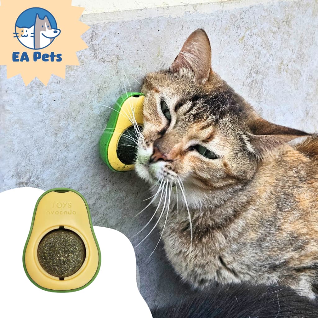 Brinquedo Abacate Com Catnip Para Gatos Super Natural Estimulante Saudável Interativo Aos Felinos