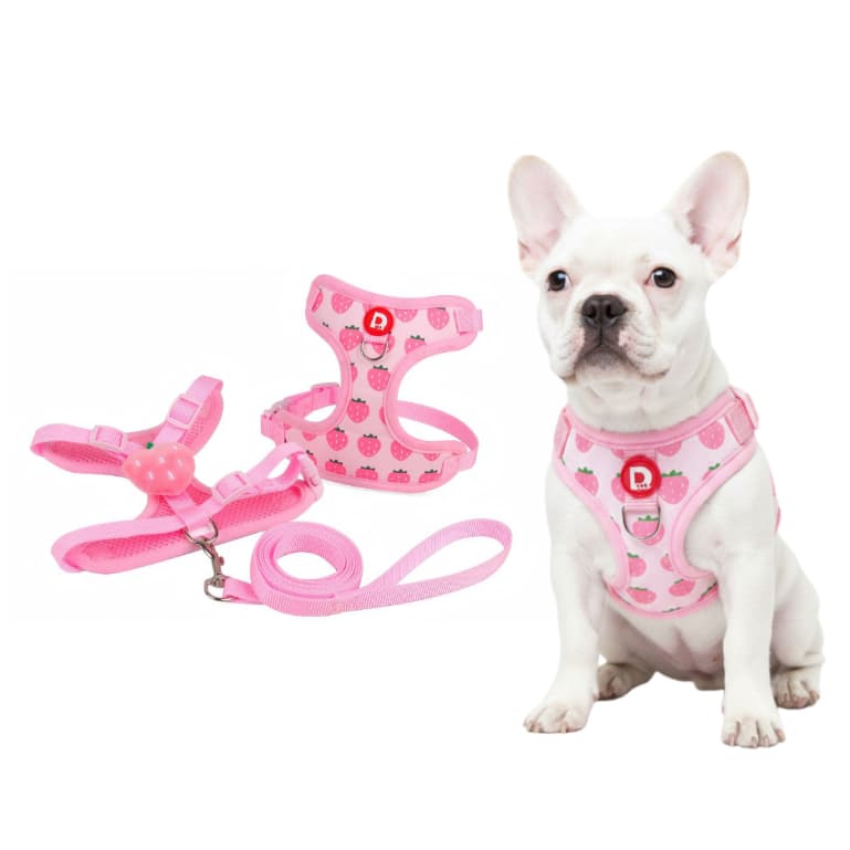 Coleira para Cachorro Peitoral Ajustável para Pequeno Porte com Guia Seguro Pet Resistente Macio