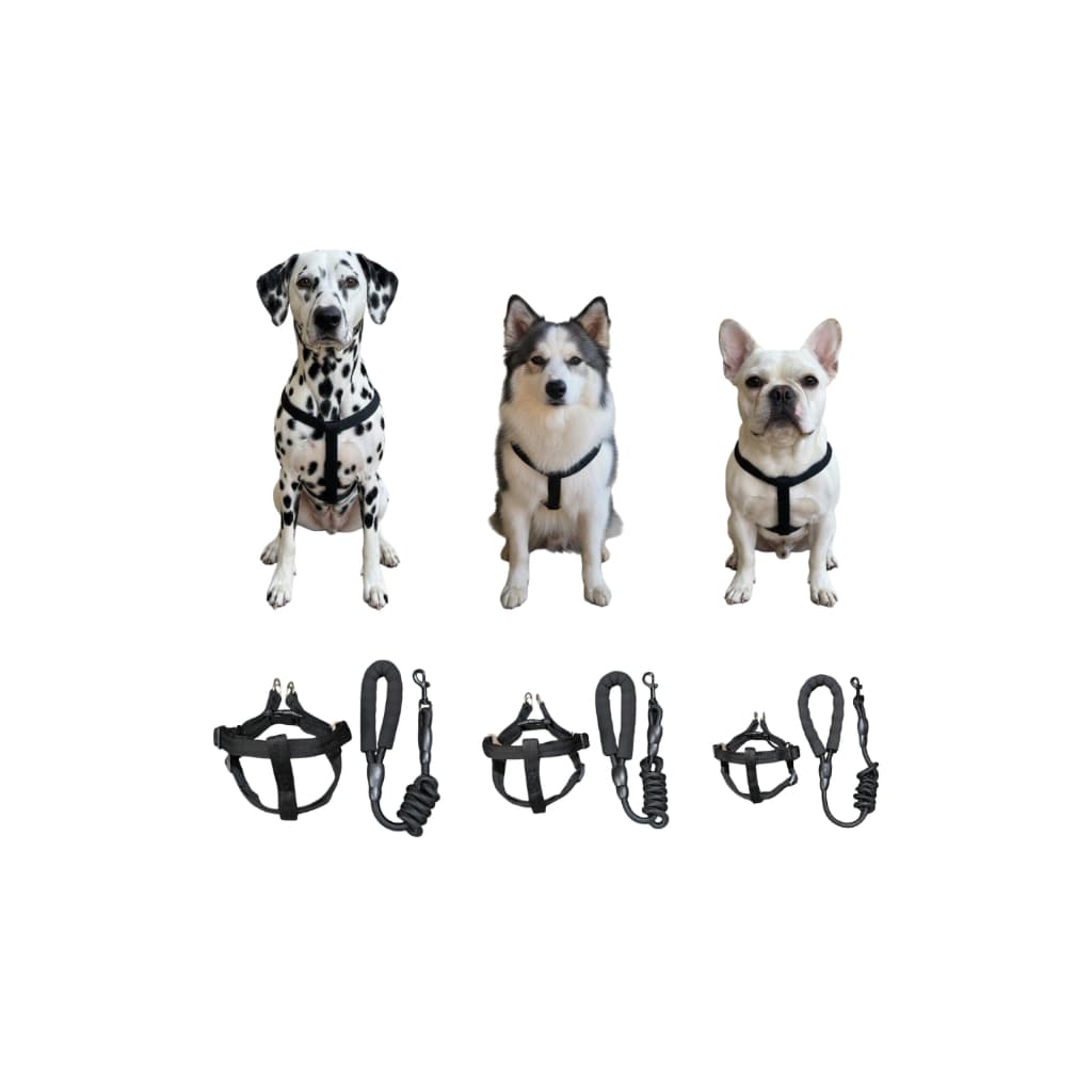 Coleira para Cachorro, Guia + Peitoral Ajustável, Pet, Black, Raças Pequenas, Médias e Grandes
