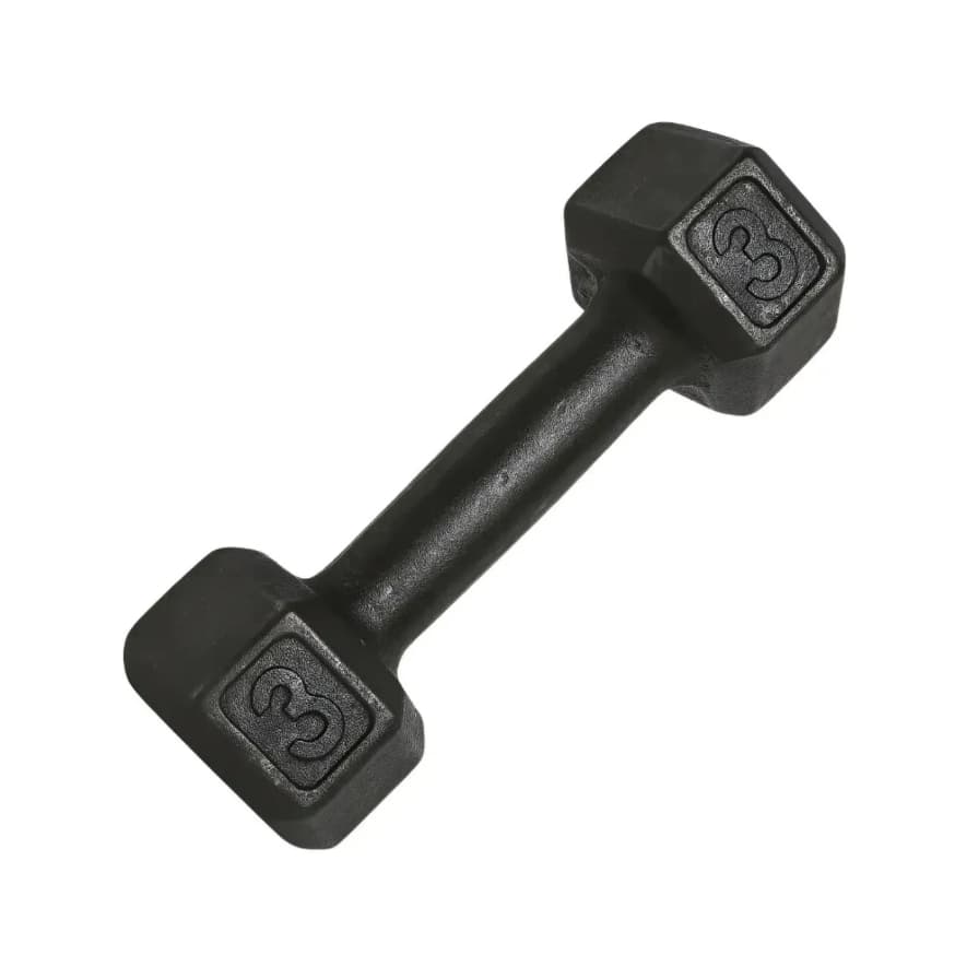 Halter 3kg Musculação Academia Treino Peso Fitness Exercícios Ferduor Físicos Esporte Fisioterapia Recuperação Muscular