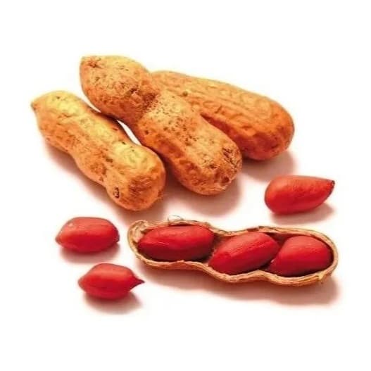 Amendoim Torrado com Casca a Granel Oleaginosa Natural Snack Saudável