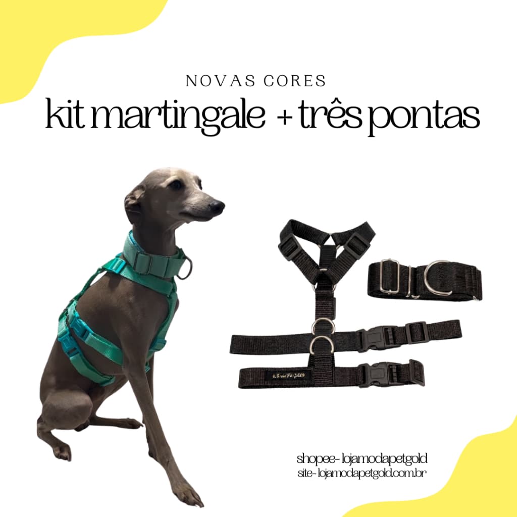 kit coleira peitoral + martingale com guia incluso para galgo italiano e whippet