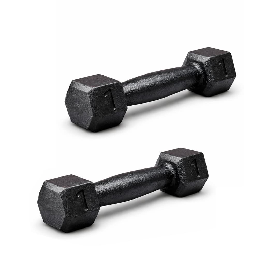 Kit Par Halter 1 Kg Sextavado Pintado - Peso De Academia