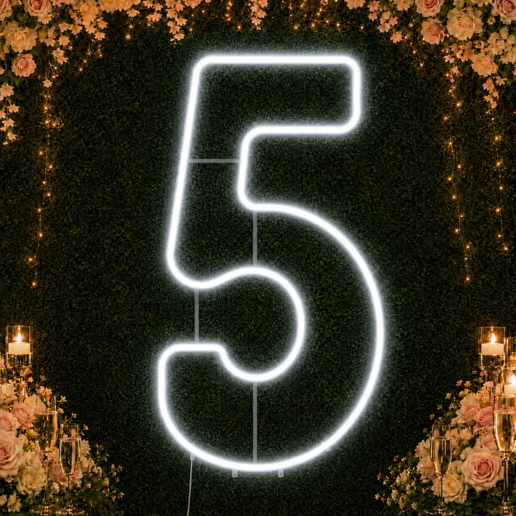 Luminária Led Neon Número 5 - 50cm Decoração Festa Aniversário Painel Luz Iluminação