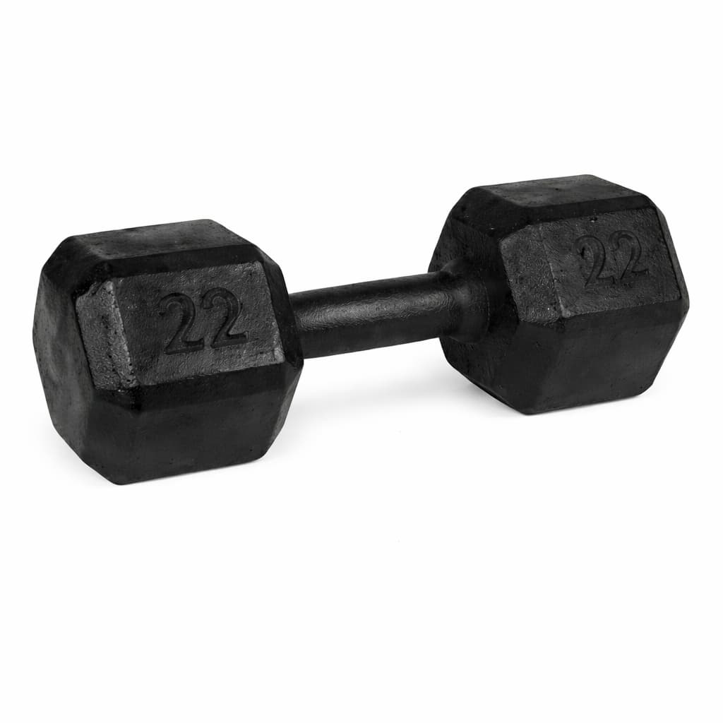 HALTER SEXTAVADO 22KG FITNESS MUSCULAÇÃO TREINO ACADEMIA FUNCIONAL CROSSFIT RESISTENTE PROFISSIONAL GYM PESO PRO