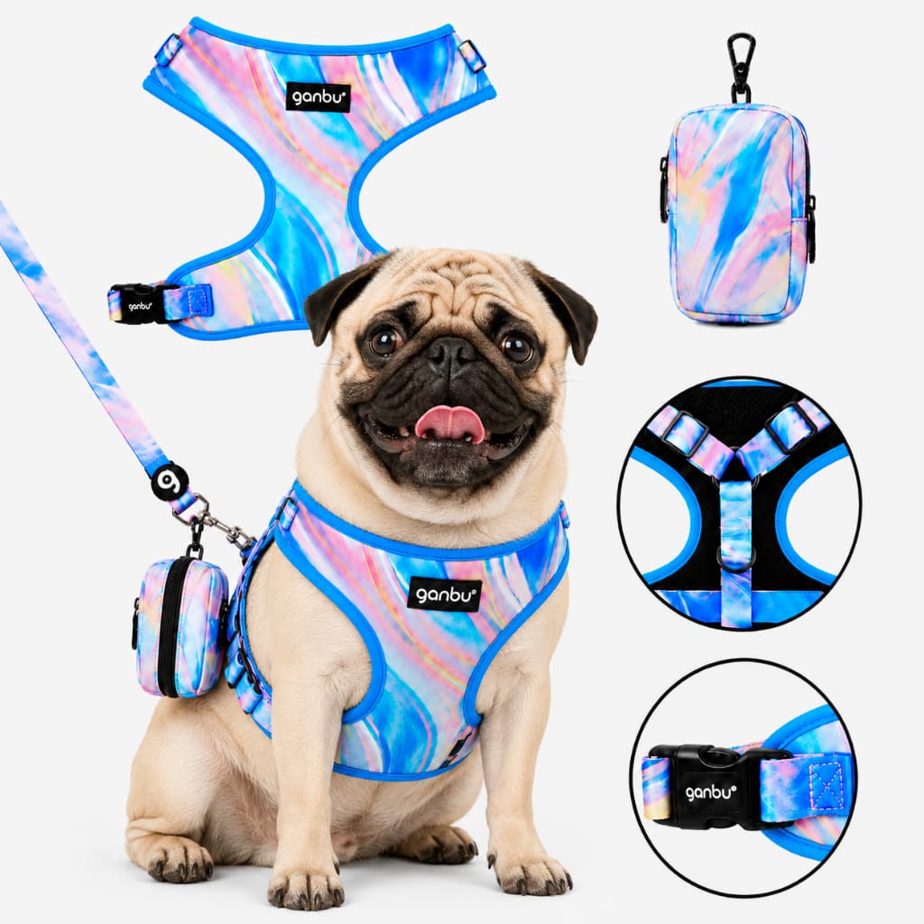 Kit Passeio Peitoral Coleira Guia Bolsa para Pug Bulldog Francês Tamanho M
