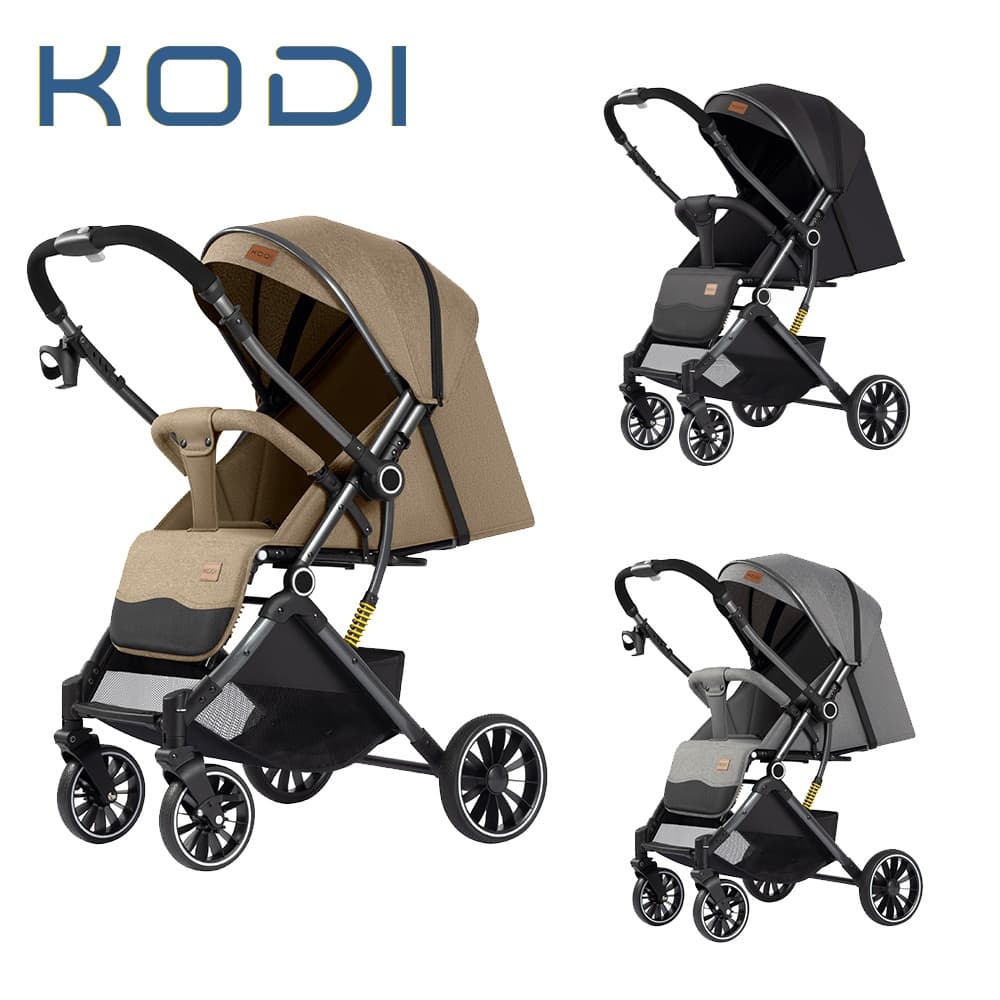Carrinho de Bebê Completo com Moisés, Suspensão e Cinto 5 Pontos – Conforto Premium P30