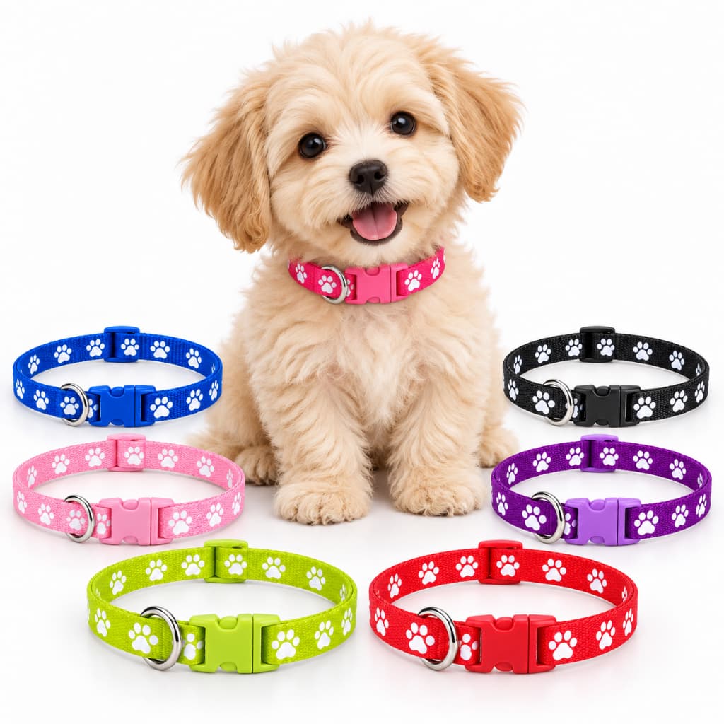 Coleira Pet para Guia Cão Gato Pequeno Médio Porte Ajustável 19 a 32cm