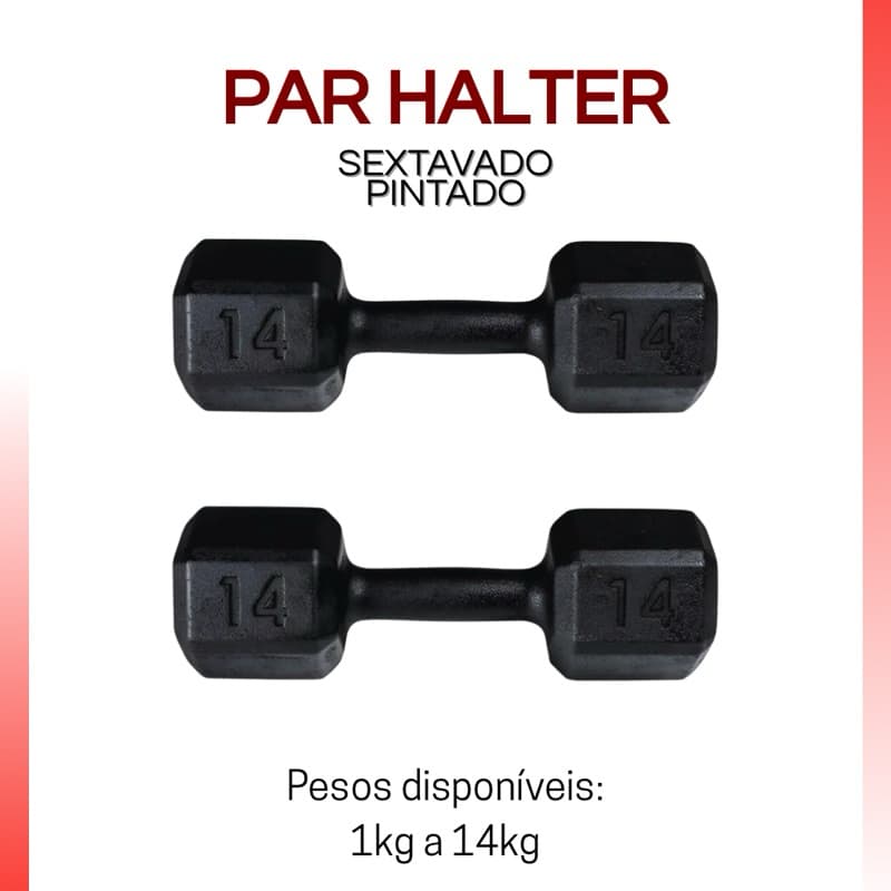 Par Halter Sextavado Pintado 6kg a 14kg – Peso Livre Academia Musculação Profissional