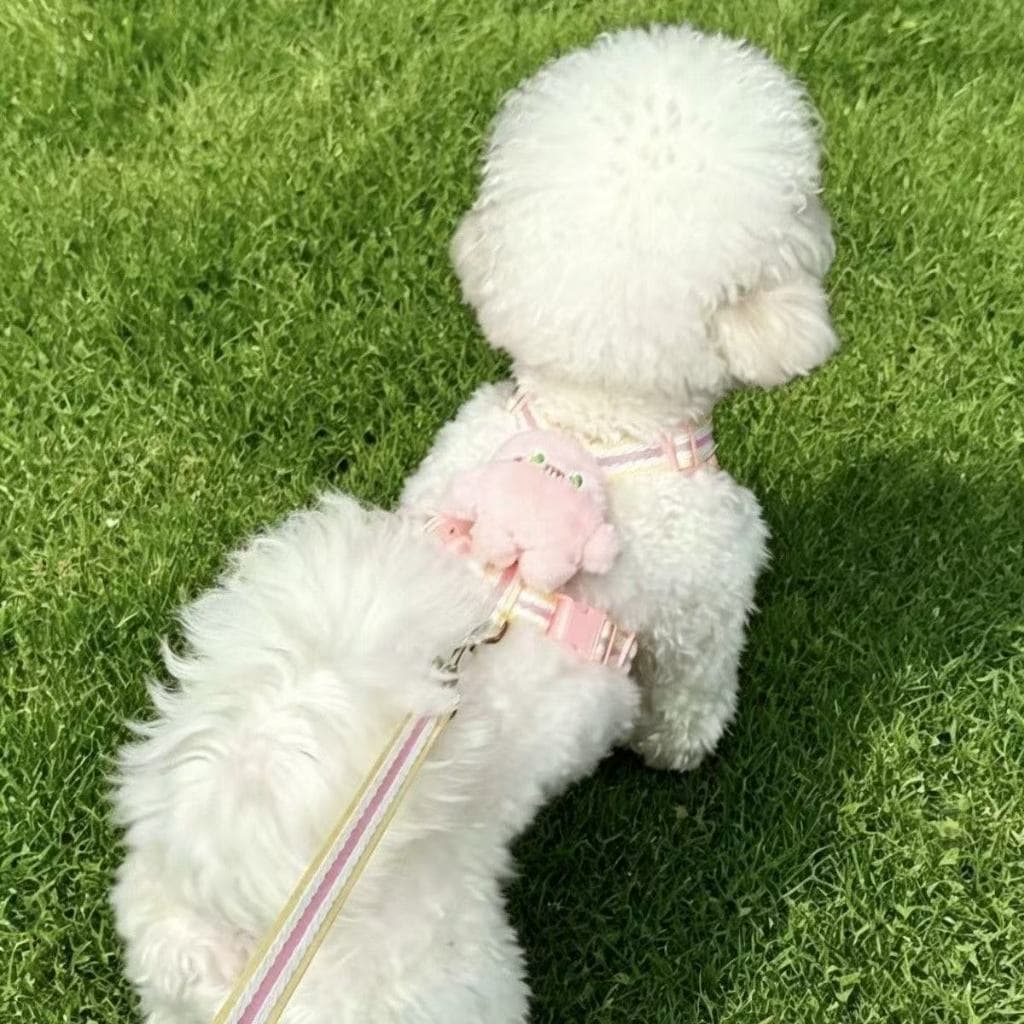 Coleira Peitoral Cachorro E Gato Conjunto De Guia Coleira Tipo Colete Para Pet Pequenos Médios Fofo brinquedo de pelúcia