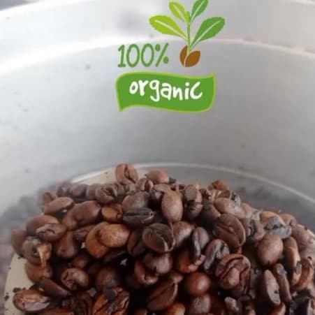 Café em Grãos torrado, 100% orgânico Arábica 250 gramas.