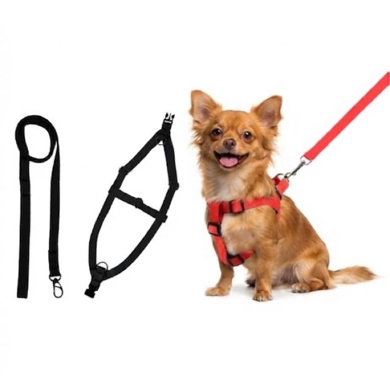 Coleira Peitoral American com Guia em Nylon para Cães Passeio Seguro e Confortável Fácil de Vestir Não Aperta