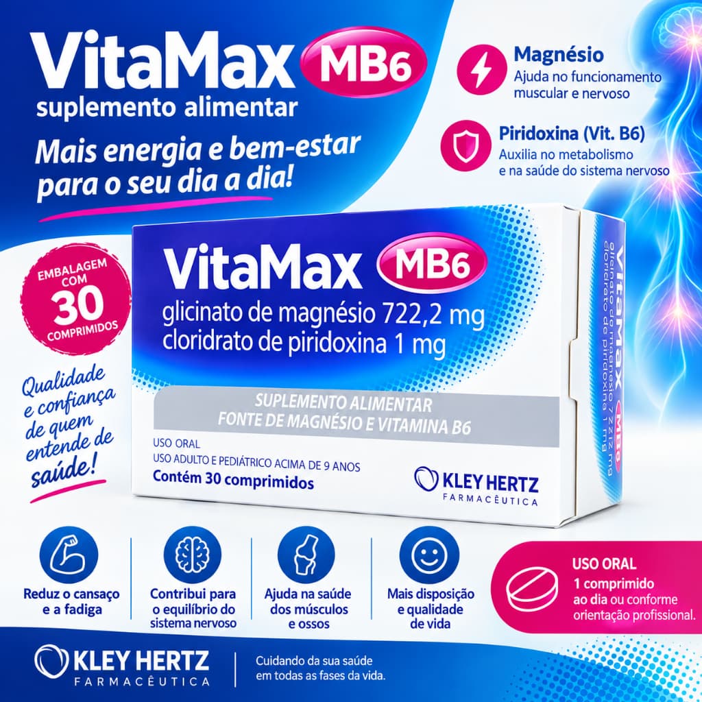 Suplemento De Magnésio E Vitamina B6 Vitamax 30 capsulas