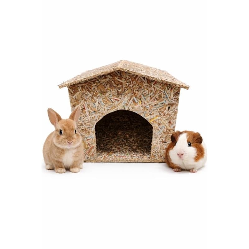 Casinha Ecológica Para Mini coelho, porquinho da Índia e roedores de pequeno porte