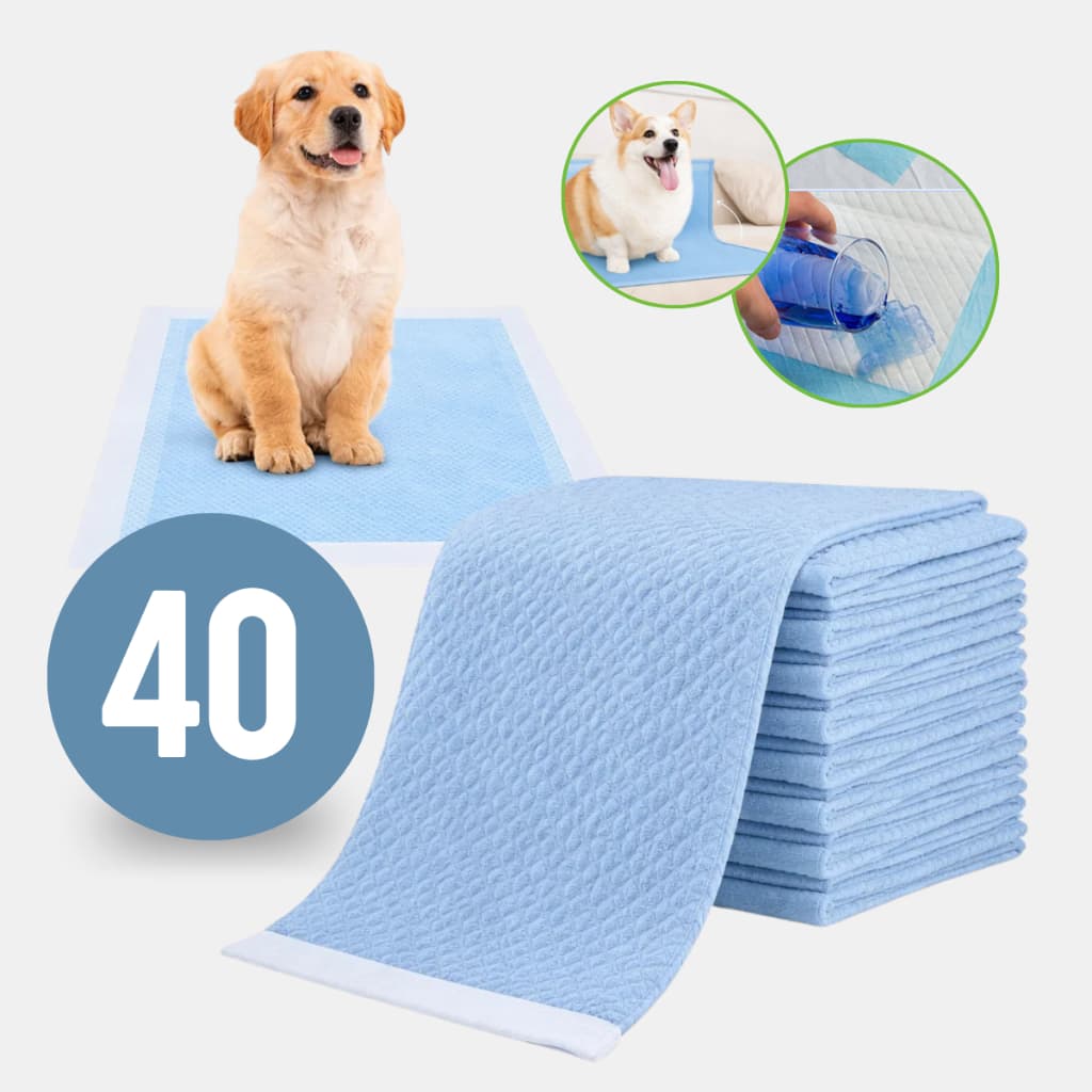 Tapete Higiênico Para Cães Fraldas Descartável Pet 60x60 20/40/60/80un