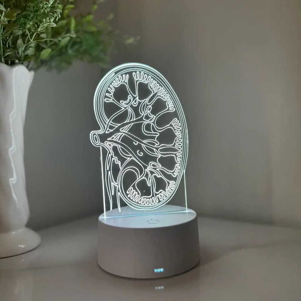 Luminária LED 3D Em Acrílico Abajur Presente Criativo - Luminária LED - RIM - NEFROLOGISTA