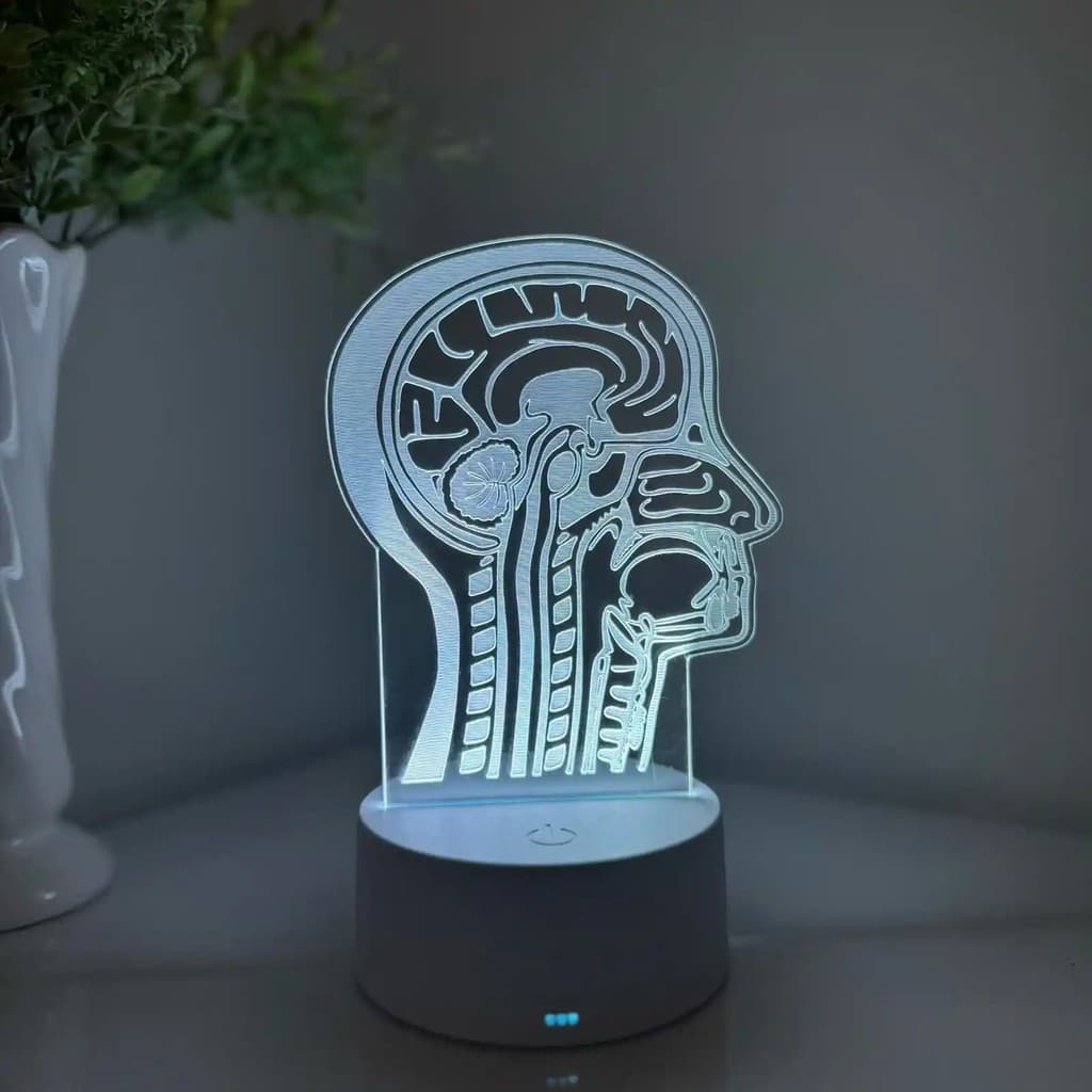 Luminária LED 3D Em Acrílico Abajur Presente Criativo - Luminária LED - CORPO HUMANO