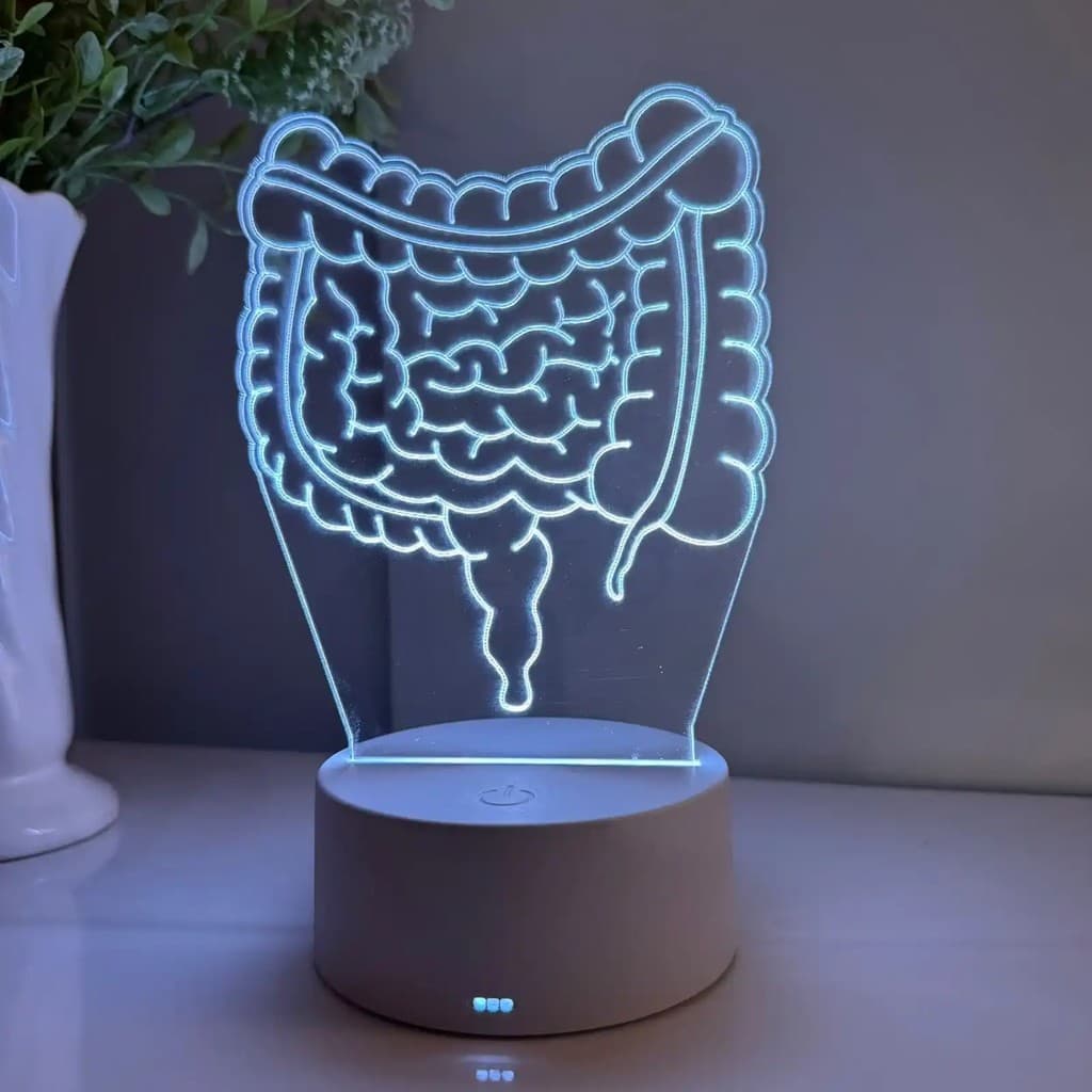 Luminária LED 3D Em Acrílico Abajur Presente Criativo - Luminária LED - INTESTINO - GASTROENTEROLOGISTA