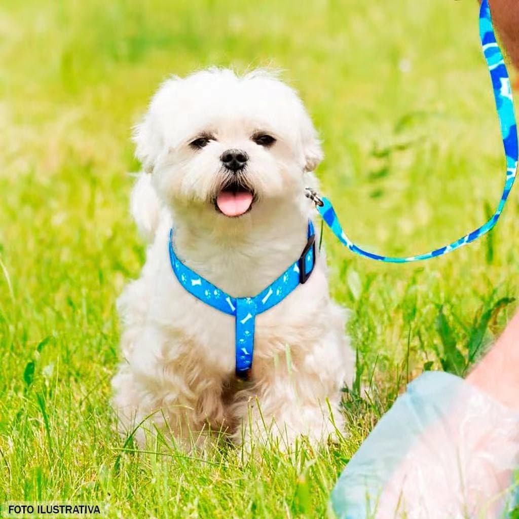 Coleira Guia Peitoral Para Cachorro Gato Ajustável Pet Cão Pequeno e Médio Porte.
