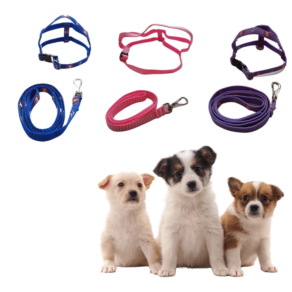 Coleira com Guia e Peitoral para Cachorro Ajustável - Coleira para Passeio - Tamanho e Cores Diversos