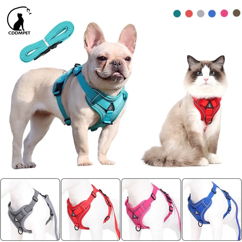 Coleira De Peitoral Cachorro Para Cães Com Guia Gatos Malha Refletiva De Estimação