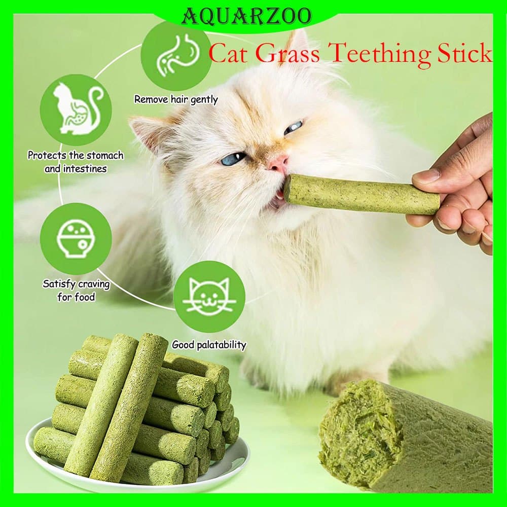 AQUARZOO Palitos De Grama De Gato Para Gatos De Interior Mastigar Cuidados Com Os Dentes Aumentar O Apetite Bola De Pêlo