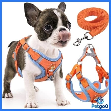 Kit Coleira Peitoral Cachorro E Gato De Guia Coleira Tipo Colete 150cm Para Pet Pequenos E Médios