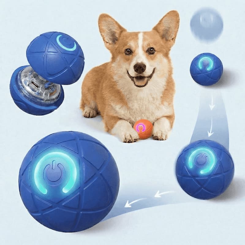 Bola Inteligente Automática USB Recarregável Resistente Que Corre Sozinha Alivia Tédio Cães Gatos