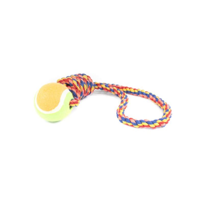 Brinquedo de Corda para Cães Bola Tênis com Corda - Brinquedo para Cachorro Porte Médio e Grande