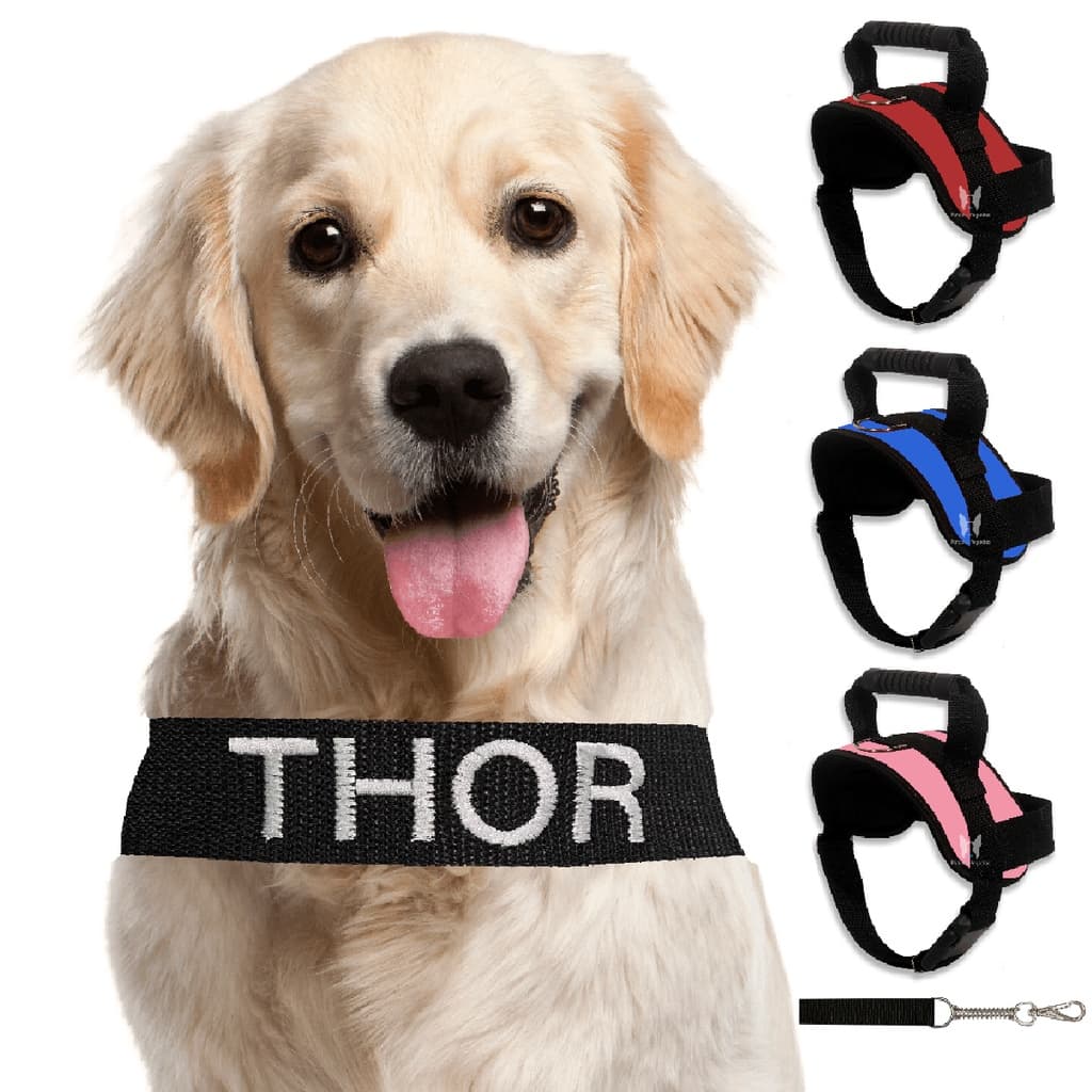 Peiteira pet coleira para cachorro com nome personalizado peitoral confortavel forrado acompanha guia anti puxão pet grande