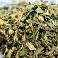 Cidreira ou Melissa Oficinallis 01 kilogramas -Orgânica