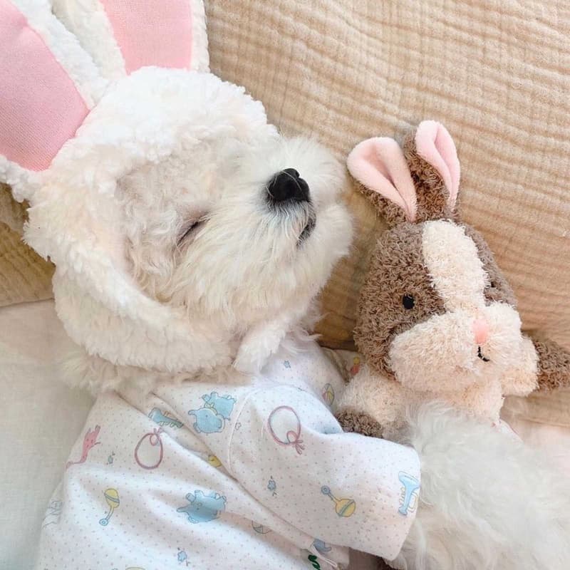 XI Cão Rangido Brinquedos Filhote De Cachorro Brinquedo Bonito Pelúcia Mastigar Para Dentição Do Macio Animais De Estima