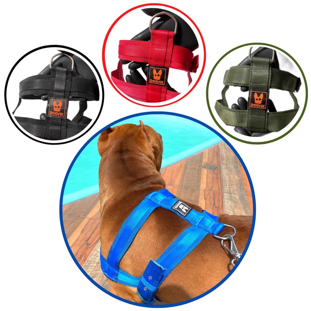 Peitoral Coleira + Guia Cachorro Ajustável Antipuxão Resistente Seguro Confortável Pet Top10- Dogvix