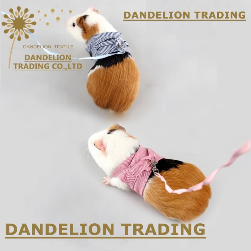 [DANDELION] Conjunto de Coleira e Guia para Hamster e Coelho, Colete para Porquinho-da-Índia e Pequenos Animais de Estim