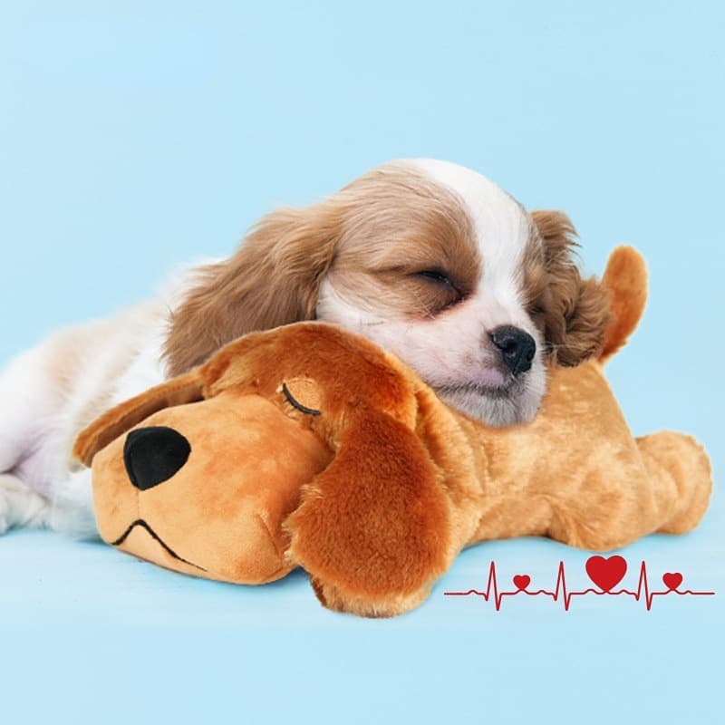 Pet De Treinamento Comportamental Cachorro Pelúcia Confortável Alívio Da Ansiedade Do Sono Doll Toy