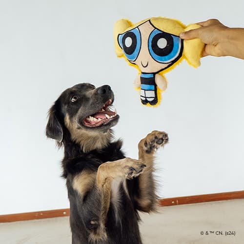 Brinquedo Pelúcia Lindinha - Petiko | Pelúcia com Apito para Cachorro, Brinquedo Macio para Morder e Interação