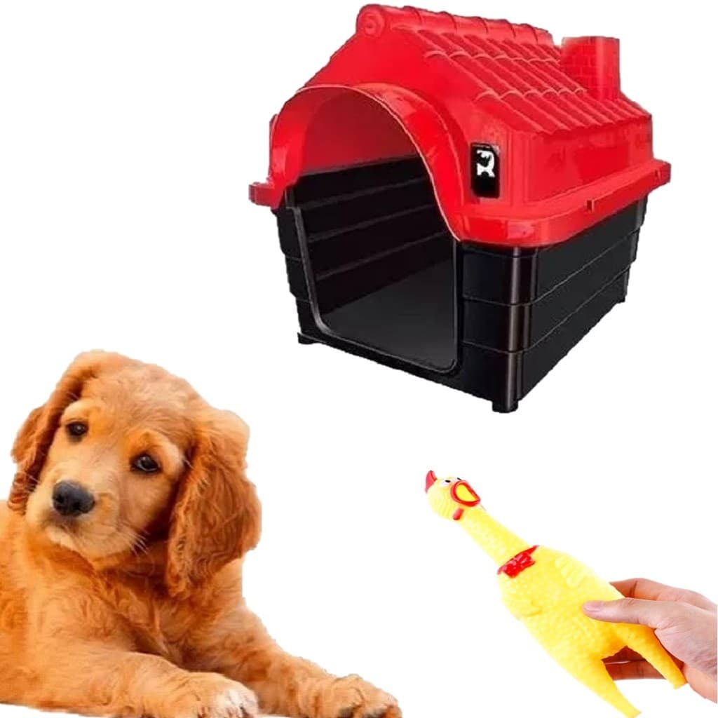 Mordedor Galinha Pet Interativo + Casinha Vermelho Pet N3