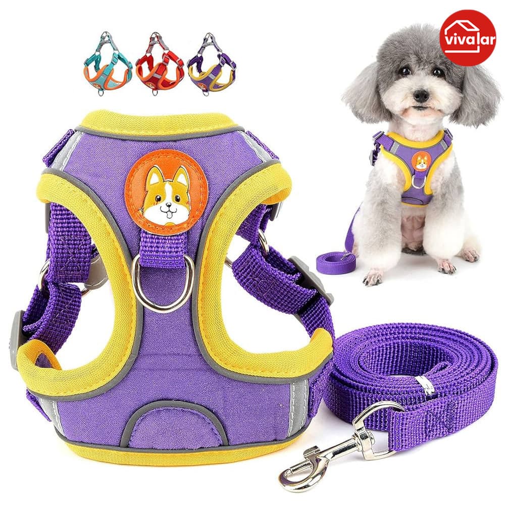 Coleira em Formato de Colete para Cães e Gatos – Conjunto com Guia Resistente
